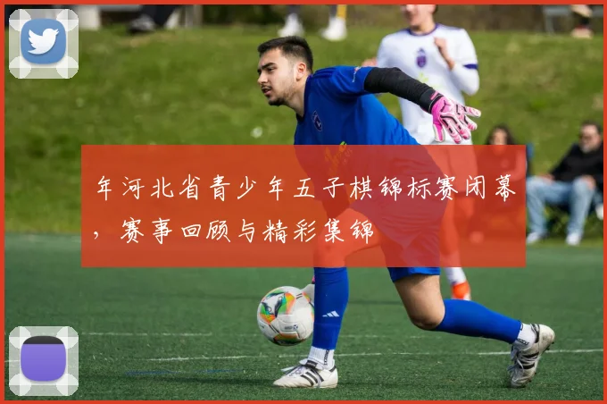 年河北省青少年五子棋锦标赛闭幕，赛事回顾与精彩集锦